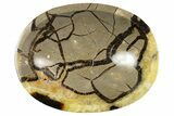 Eye-Eatching, Polished Septarian Bowl - Madagascar #342682-1